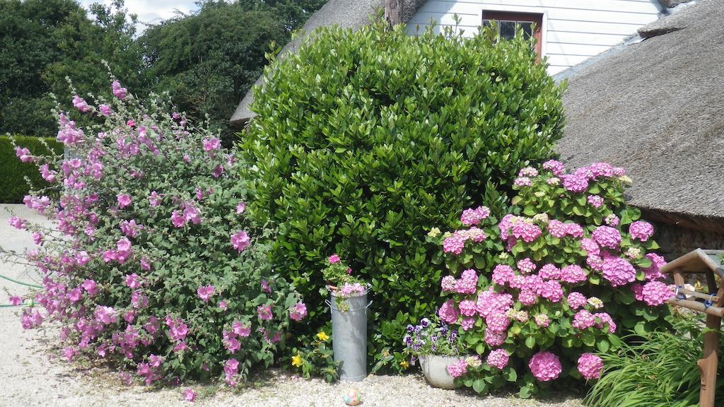 La Musardise Bed and Breakfast Guérande Exterior foto